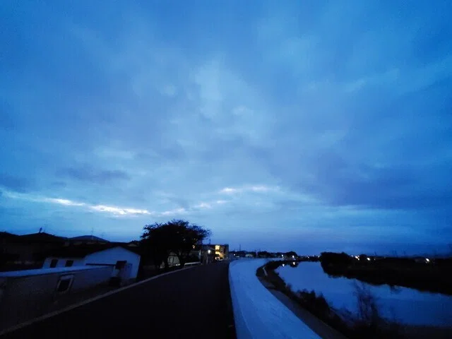 画像8