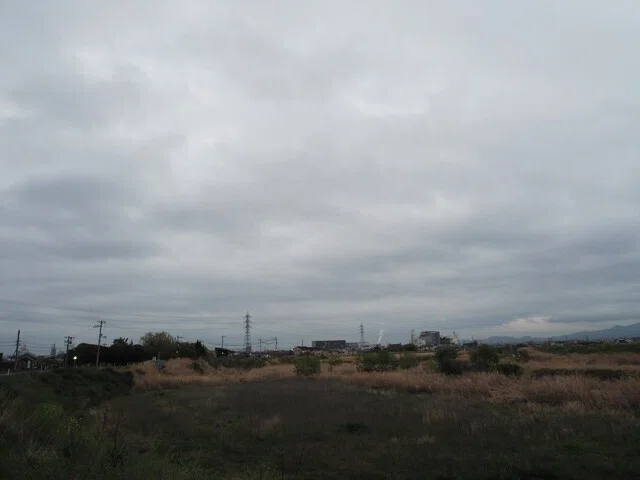 画像9
