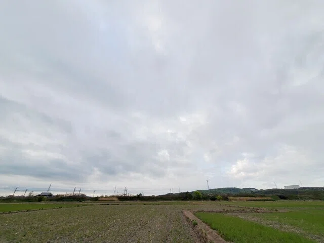 画像11