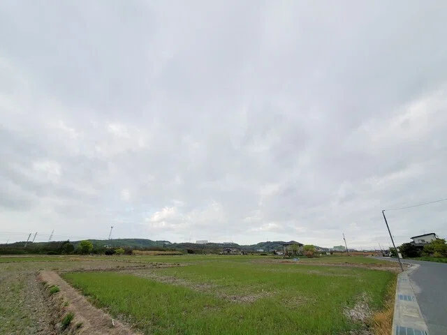 画像12