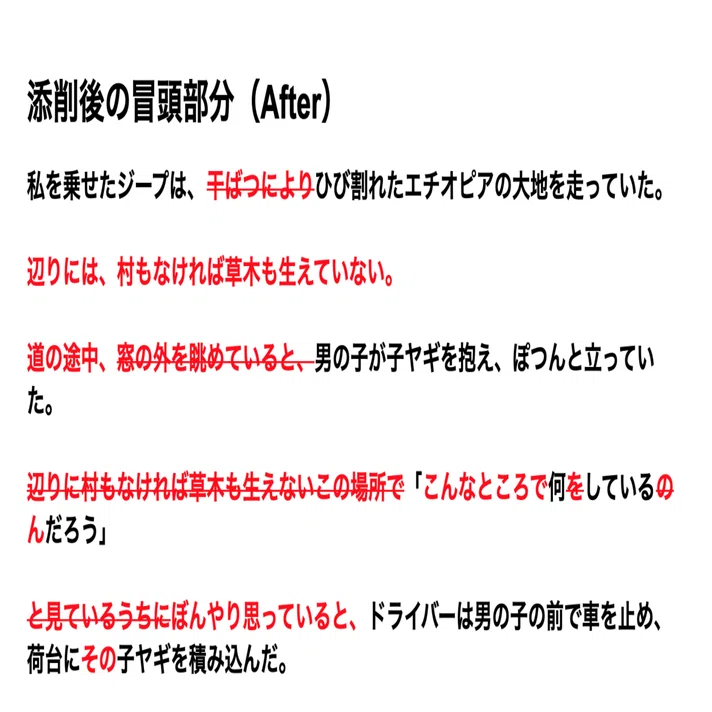 エッセイ と は