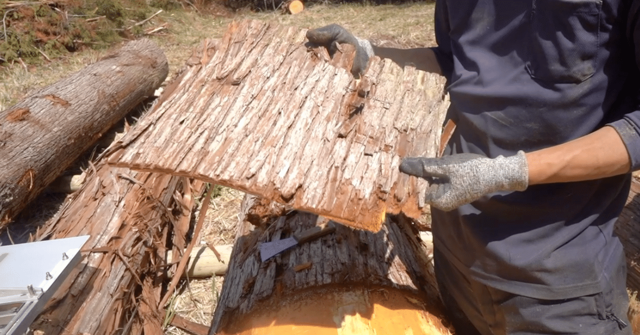 捨てるもので美しく暮らすなら、杉皮がいいのではないかと、皮剥きを