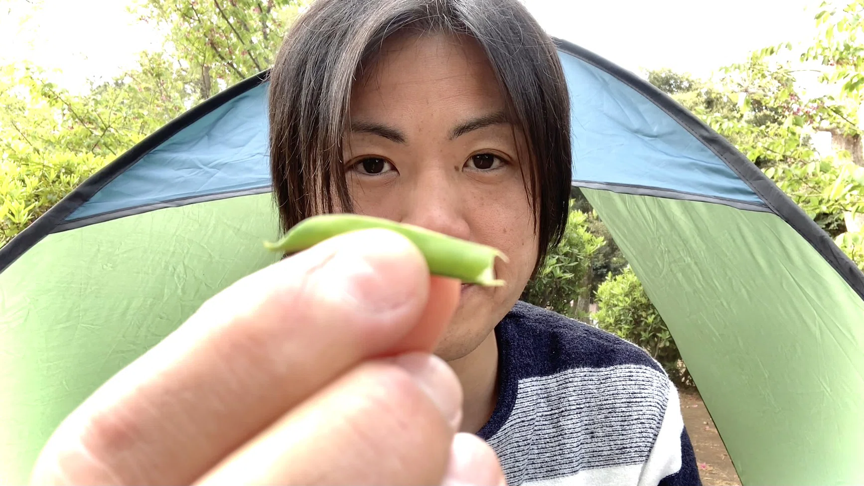 豆笛 の新着タグ記事一覧 Note つくる つながる とどける