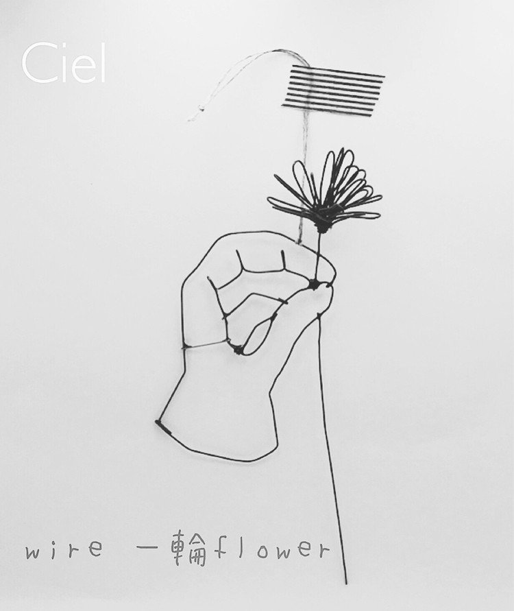 #wireart #wirework #wire #お花 #flower#Ciel_wire #ciel 
一輪どうぞ。