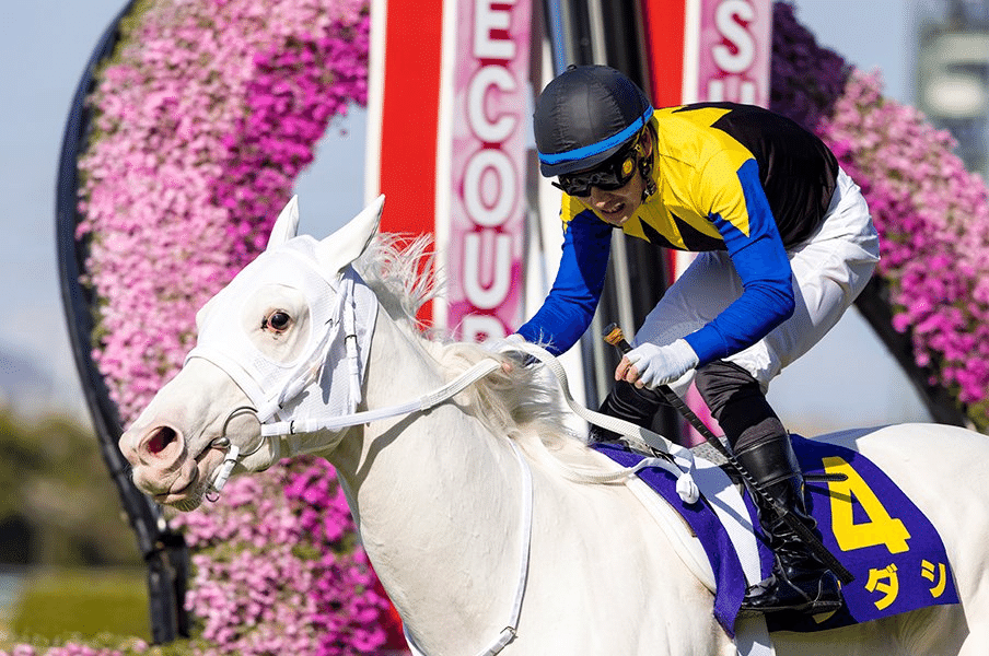 ハイセイコー知らずにウマ娘やってるってマ？-ウマ娘化されていない