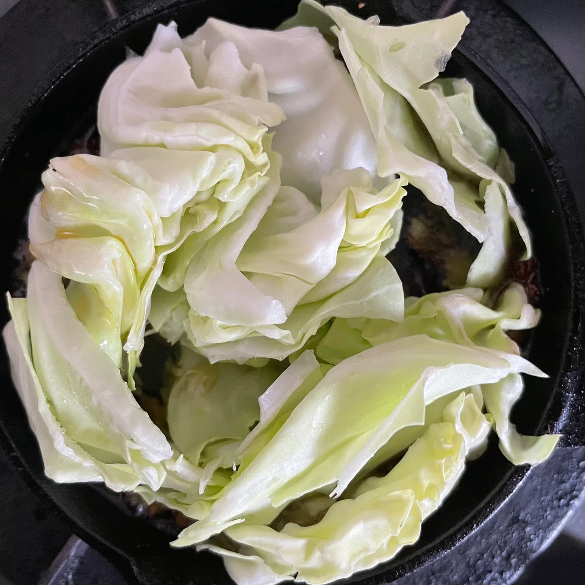 画像15