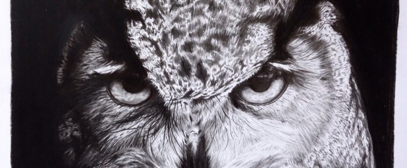 絵描き初心者でも分かる 初めての鉛筆画 入門編 Haru Animal Painter Note