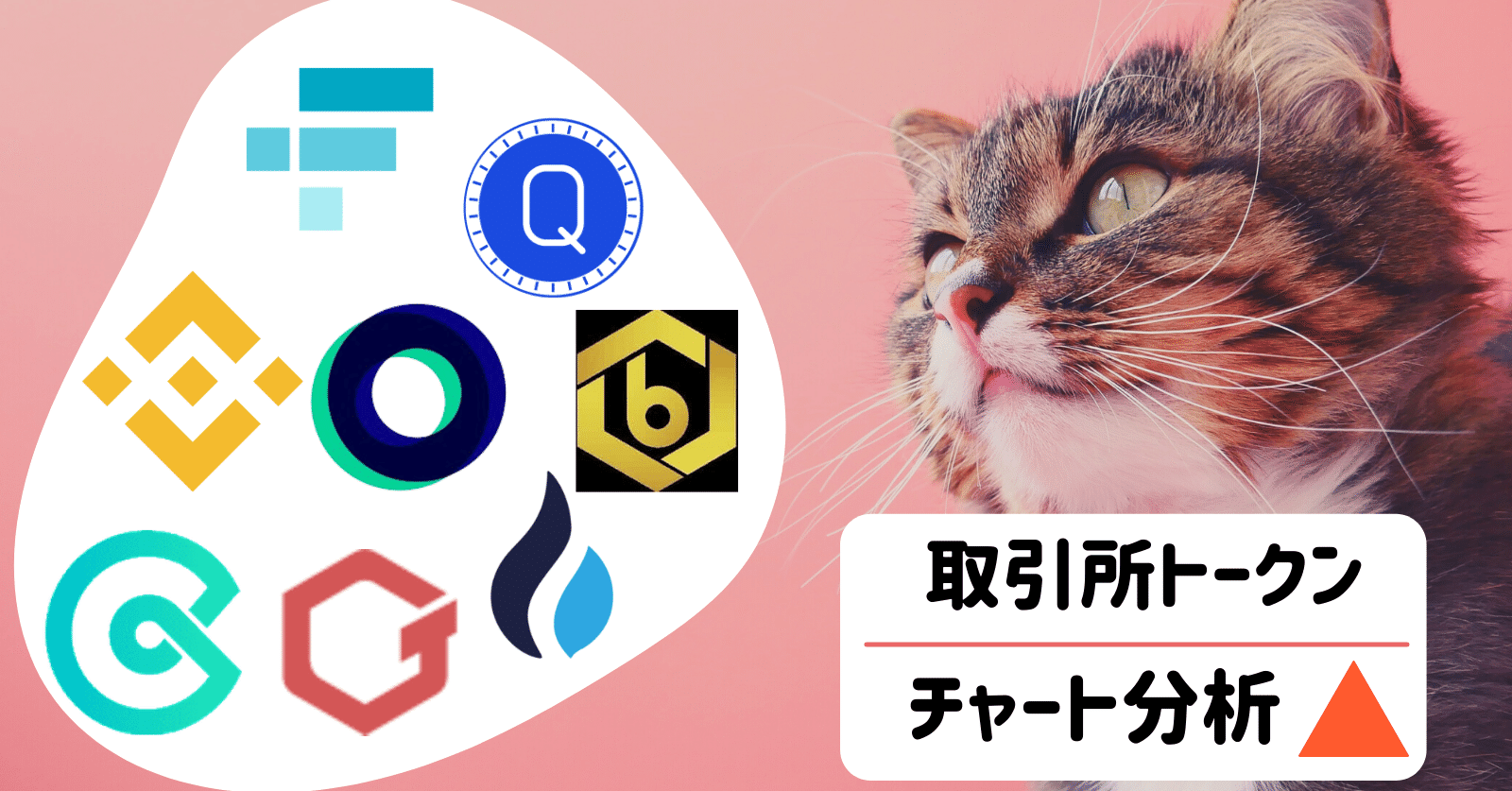 2021年】仮想通貨 取引所トークン 分析！｜SACHI@とんがりコイナー🔺