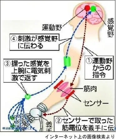 画像36