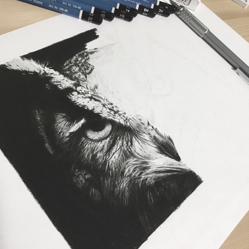 鉛筆画フクロウ 一部制作過程写真 Haru Animal Painter Note