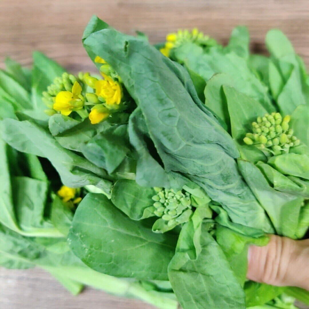 花も食べられます 白菜の花 修家大雄 レストラン ラ フェ Note