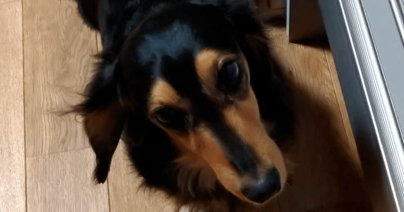 藤崎剛人さん 久しぶりに 僕にとっての まともな論評読んだ トリチウムの話 幸運な病のレシピ note