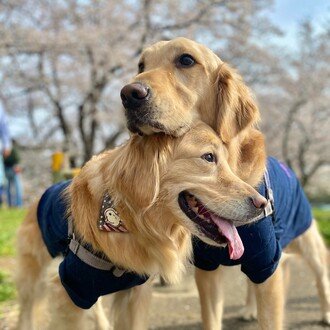 43歳独身ノンキャリ女 地獄の転職活動記録 Kaco Note 43歳独身ノンキャリ女 地獄の転職活動記録 Kaco Note