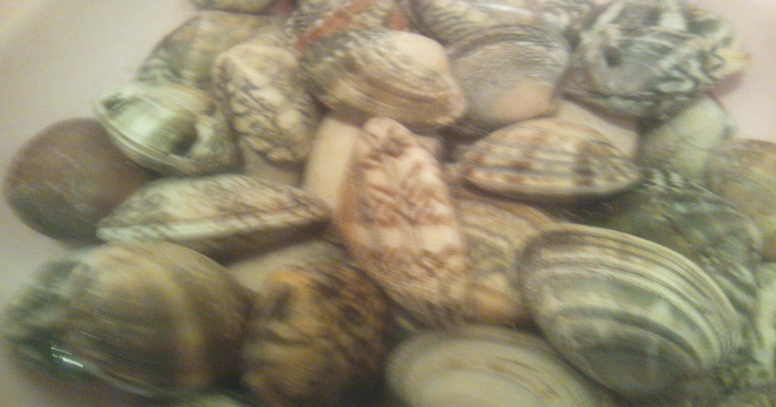 アサリと気まぐれ 小説 さいとー うつ病でも営業マン Note