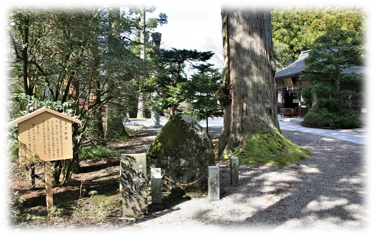 画像40