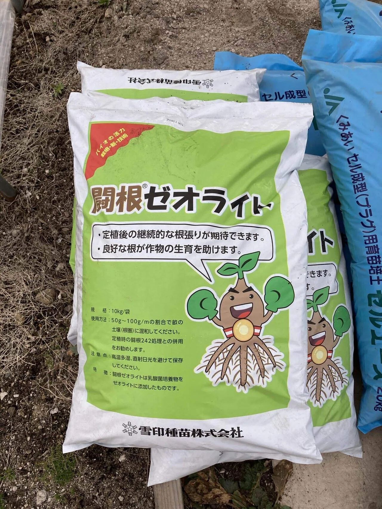 家庭菜園用の播種 覚え書｜f_base