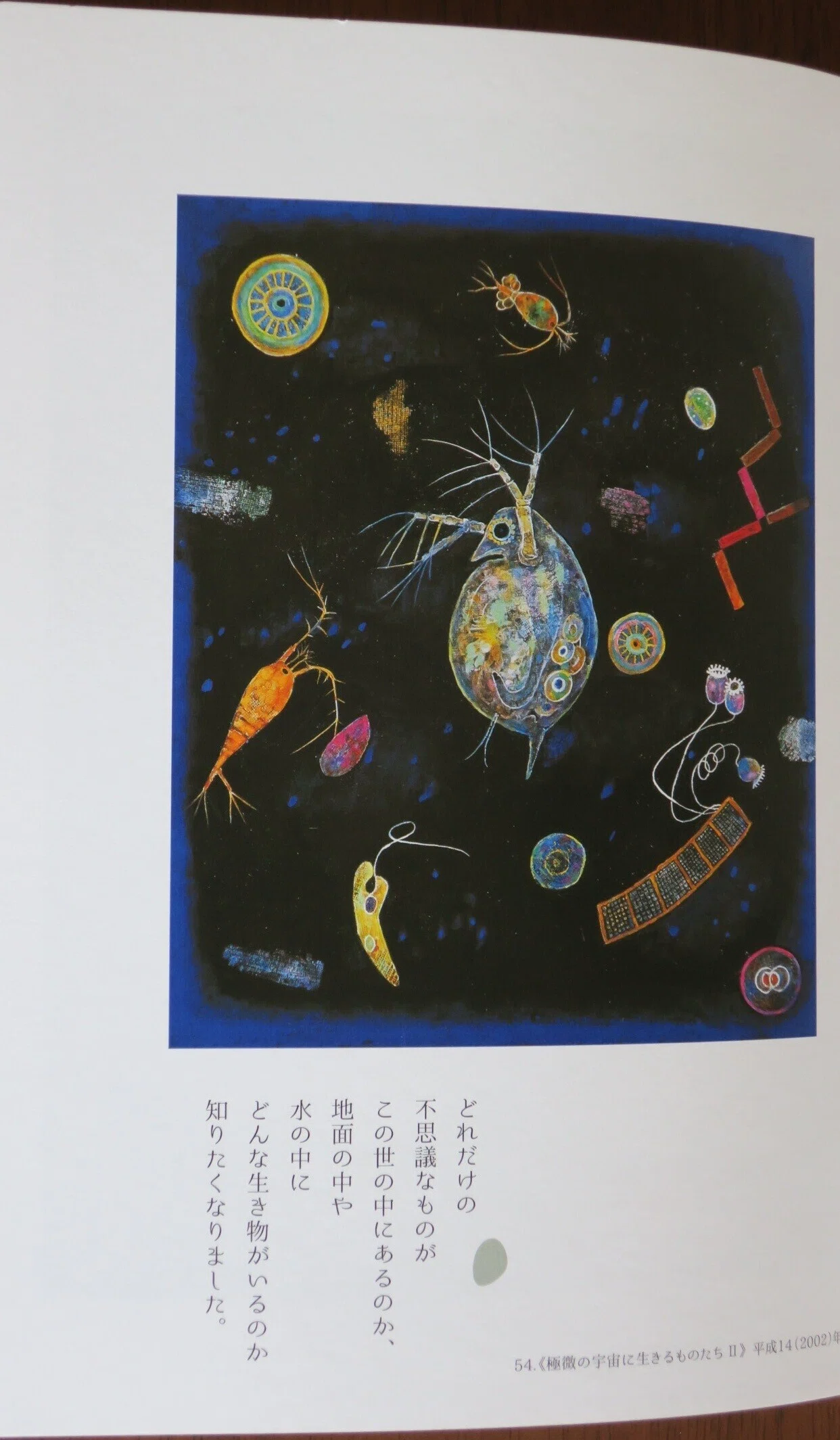新見へ行ってきました。「生誕百年・堀文子展」｜塚本芳久