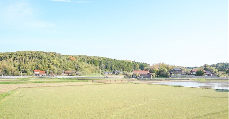 離島に来て大学生が図書館で働く