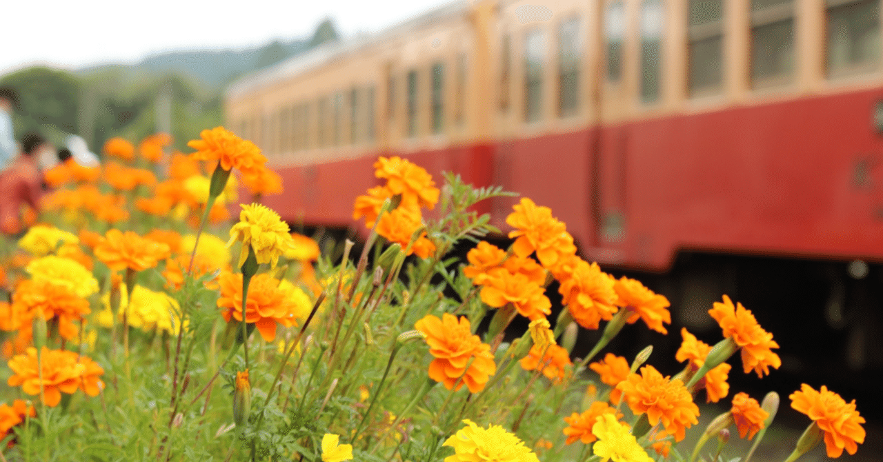 自傷行為の代わりにやりたいこと アイデア集9選 うつヌケハック 公式 Note