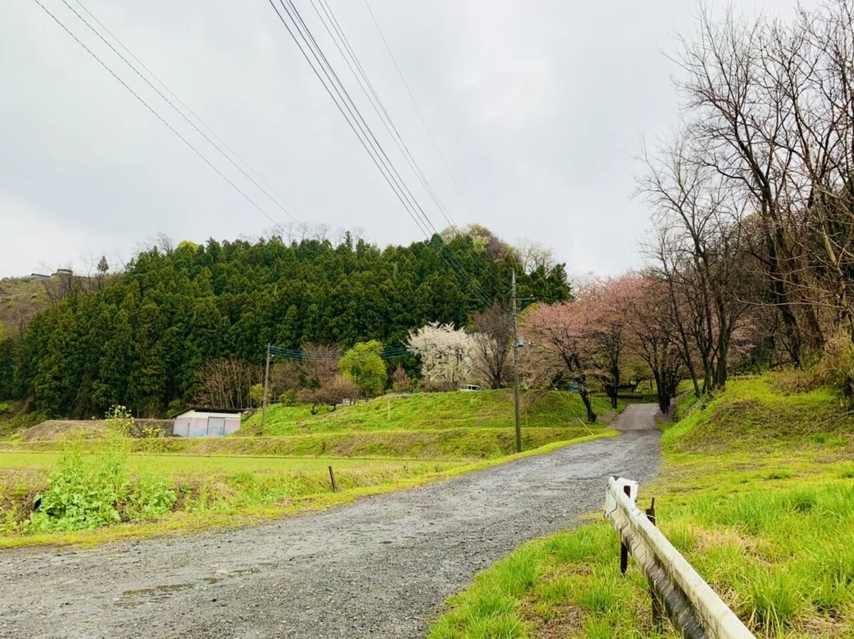 画像2