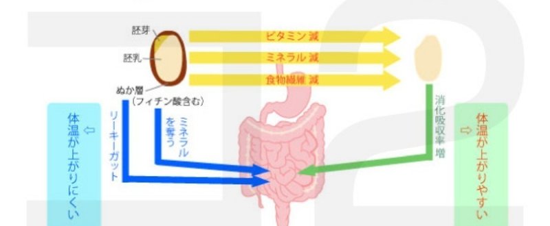 玄米と白米_ko2