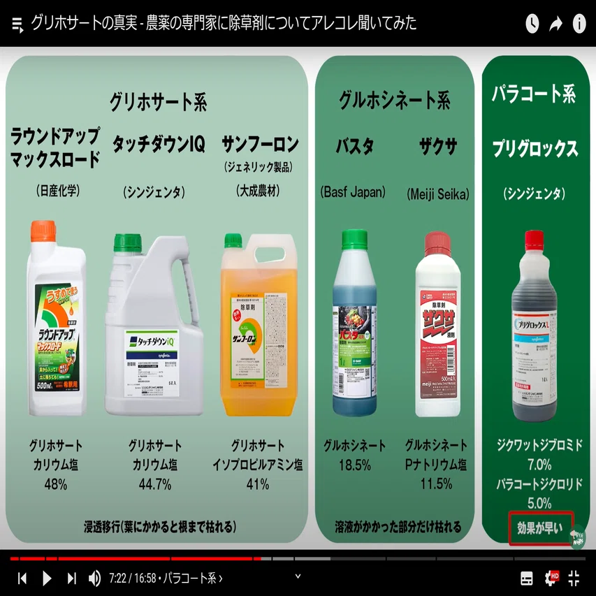 活動歴および当時の関連ビジュアル記録