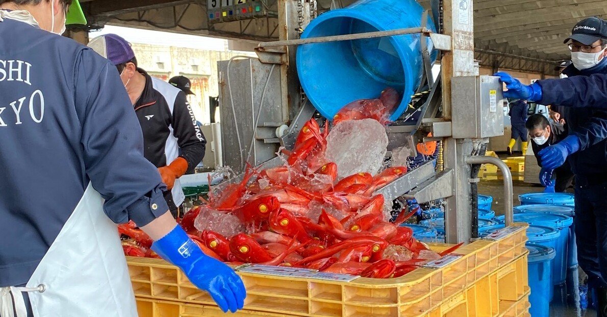 ミナトゴハン×魚の旅 Vol.02-1 2021.04.01 ”銚子つりきんめ”｜ミナトゴハン