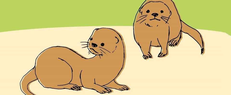 絶滅 した人気動物の再発見と日本酒の話 読み出し無料 長崎県対馬において カワウソを発見 琉球大学 ほか 仲見満月の 分室 Note