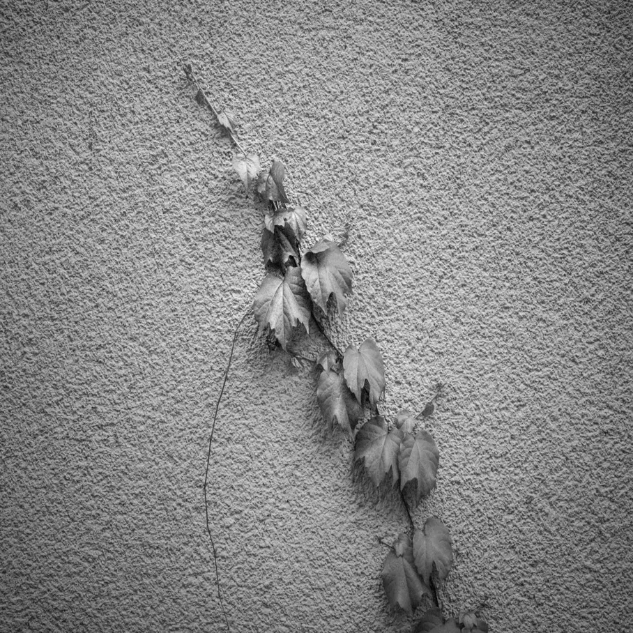 Leica Q2 Monochromeを使ってみた 萩原賢一郎 Note