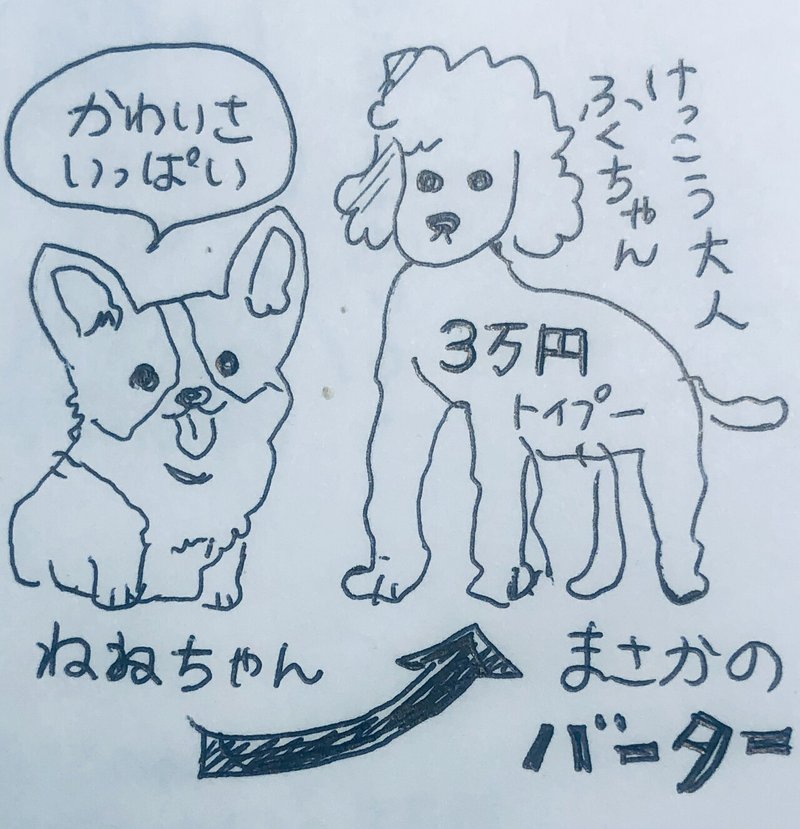 ふくちゃんとねねちゃん Mami Note