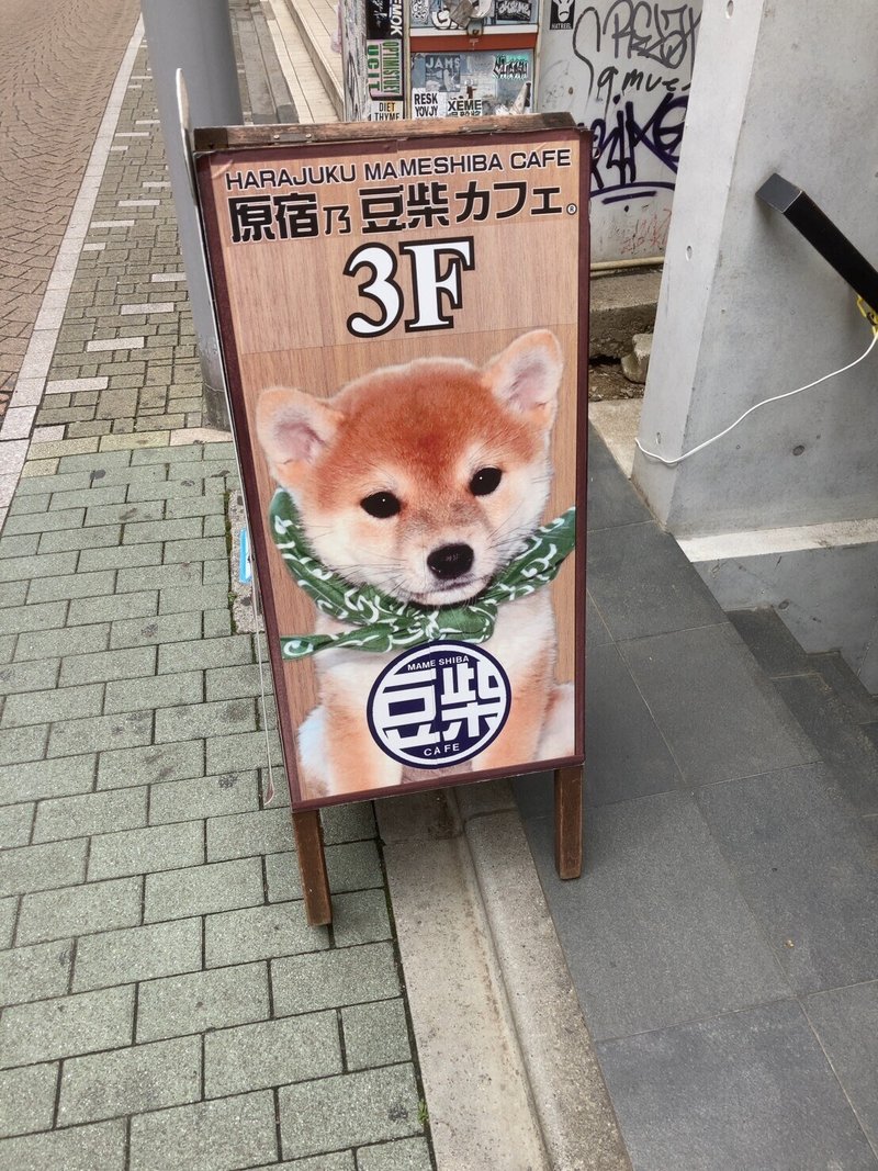 リラックスを犬カフェで もっちゃん Note リラックスを犬カフェで もっちゃん Note