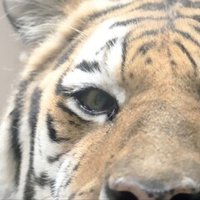３分韓国語 술 第４８回 韓国語とっちゃん 한국어 토짱 Note