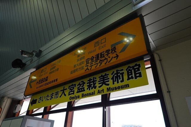 盆栽の見方が分かる 大宮盆栽美術館 にしきかむろ Note 盆栽の見方が分かる 大宮盆栽美術館 にしきかむろ Note