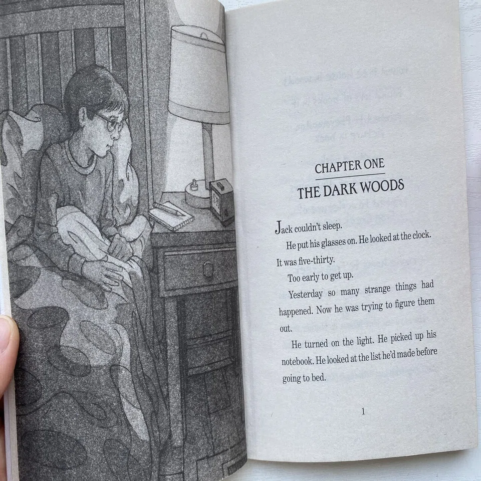 英語多読】ORTの次は ”MAGIC TREE HOUSE” 英英辞書も活躍中｜りあこ