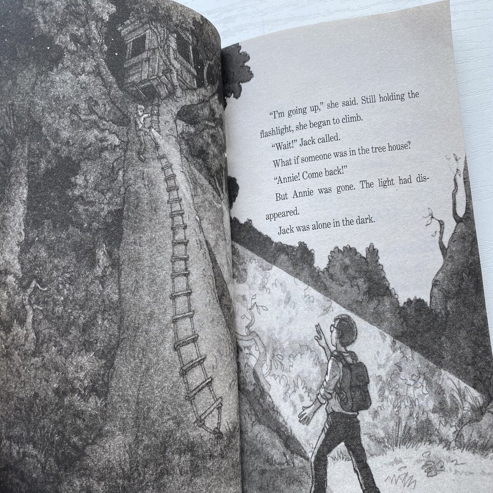 英語多読】ORTの次は ”MAGIC TREE HOUSE” 英英辞書も活躍中｜りあこ