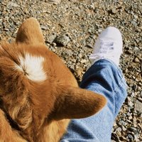 凛として花一輪 まにゃぶーん Note 凛として花一輪 まにゃぶーん Note
