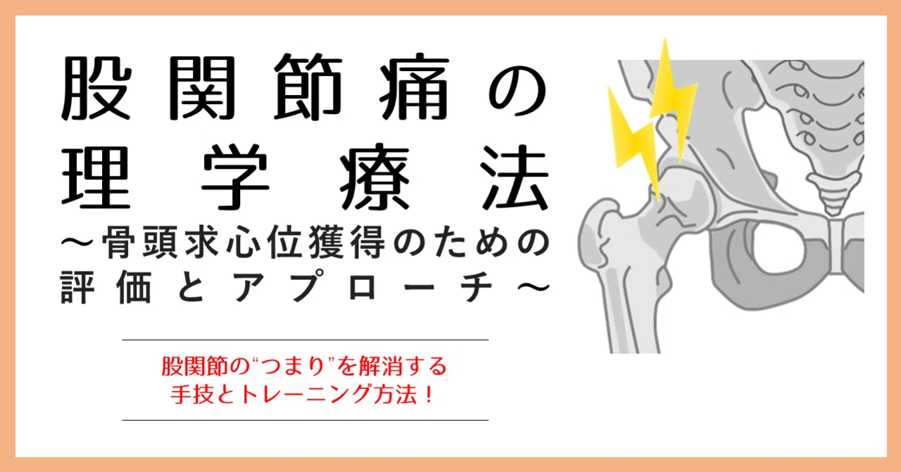 股関節痛の理学療法〜骨頭求心位獲得のための評価とアプローチ〜｜理学