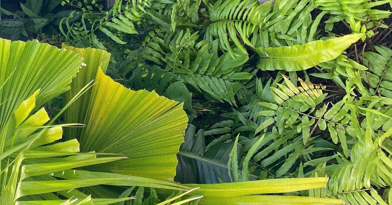 生理中 の新着タグ記事一覧 Note つくる つながる とどける