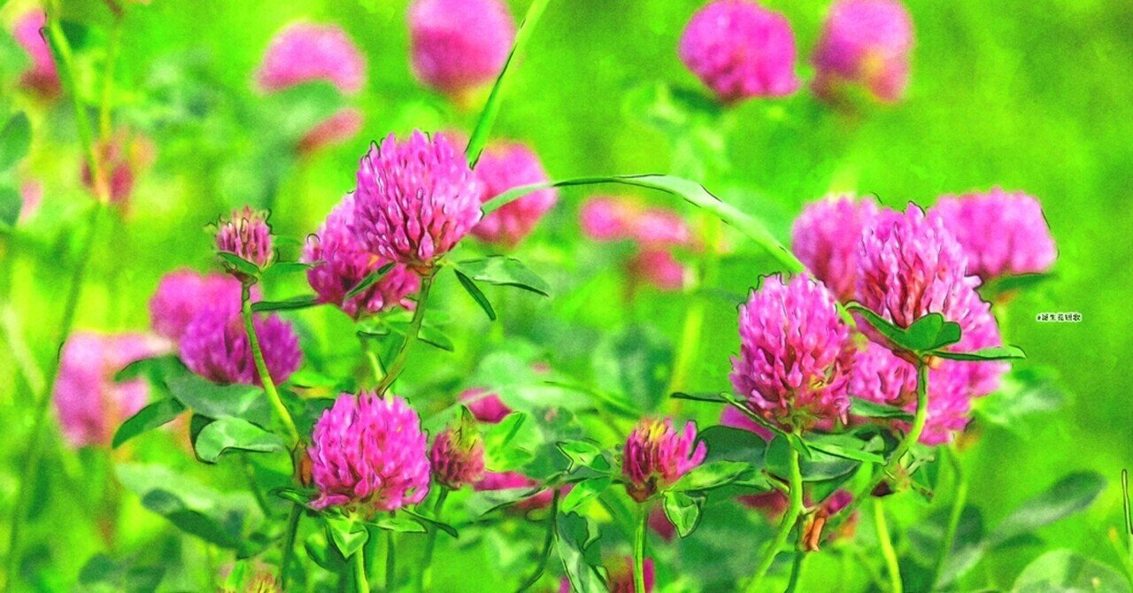 4月18日 誕生花は赤詰草 誕生花短歌 御子柴 流歌 Note 4月18日 誕生花は赤詰草 誕生花短歌 御子柴 流歌 Note