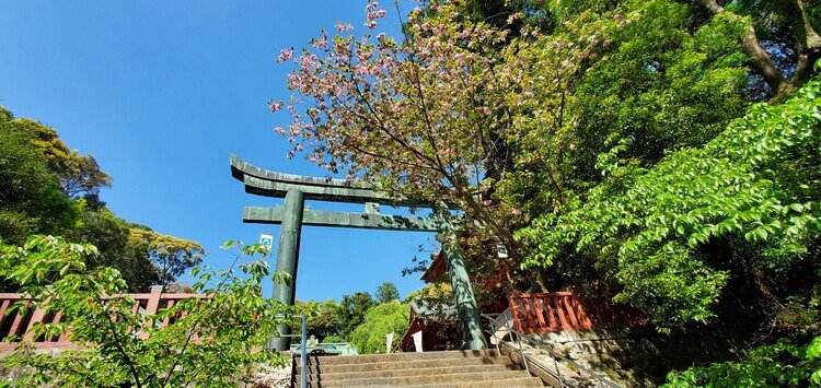 山 東照宮 階段 久能