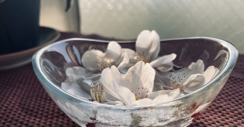 他者の離婚を願う癖 実績解除くん Note