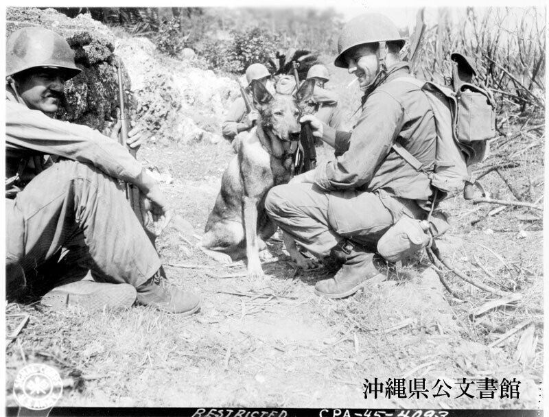 沖縄戦 1945年4月20日『後方で進む基地建設』 - 〜シリーズ沖縄戦〜