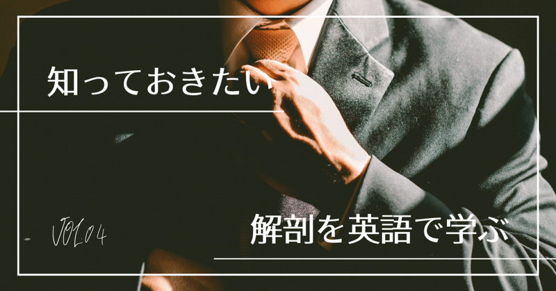 解剖を英語 ラテン語 で学ぶ 頭蓋骨の骨 苅田龍三 Athletic Trainer Acupuncturist Training Note