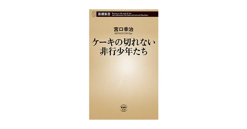 おとなの責任について 書評 ケーキの切れない非行少年たち 宮口幸治 ちいさなへやの編集者 note
