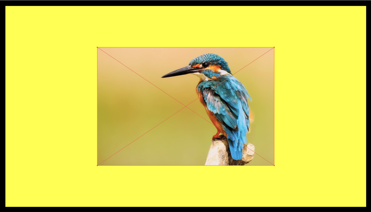Illustrator いちいちphotoshopを使わずに画像をモノクロにする方法 ゲラ デザイナー Note
