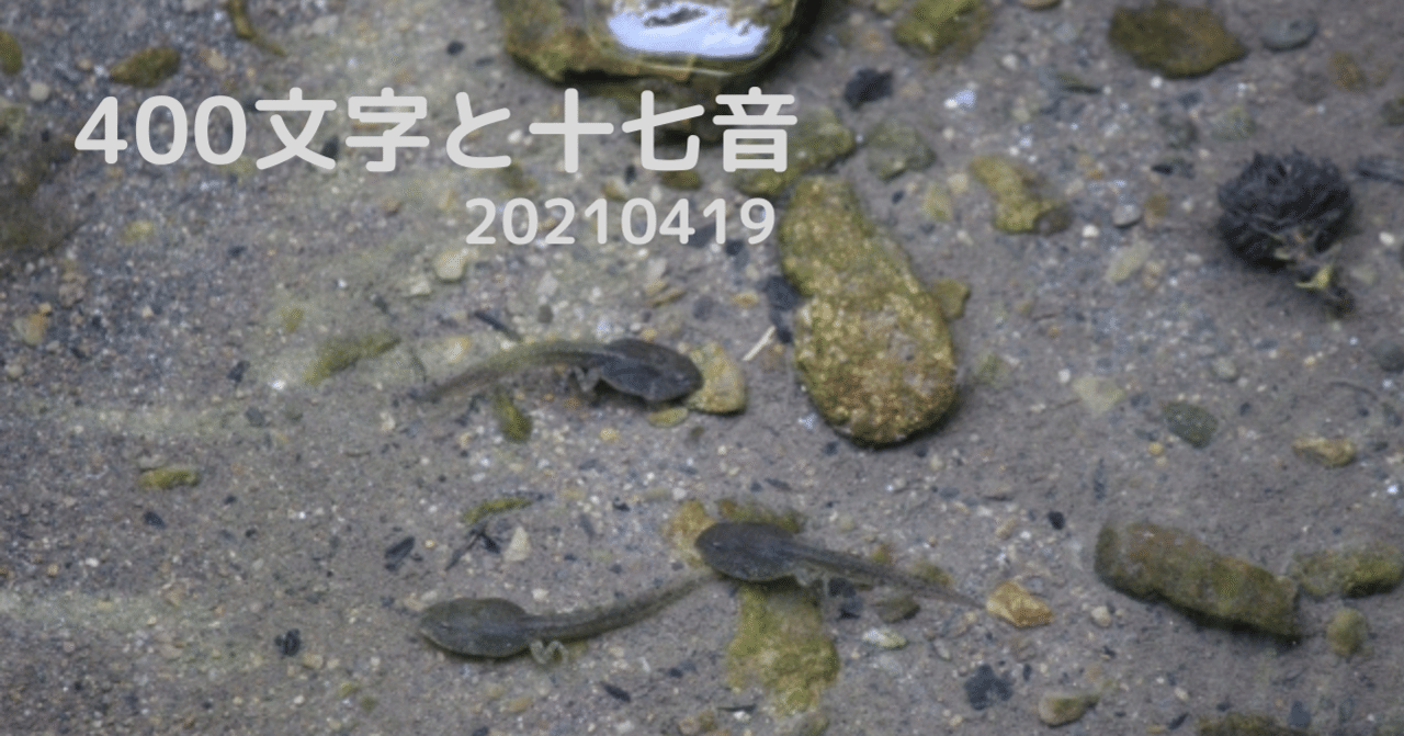 泳ぎの下手なオタマジャクシ かなつん ʃ ʅ Note