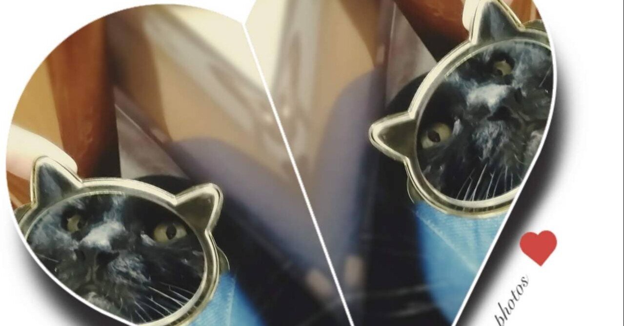 猫＆ミステリー小説のパイオニア。『猫は手がかりを読む』(ココ