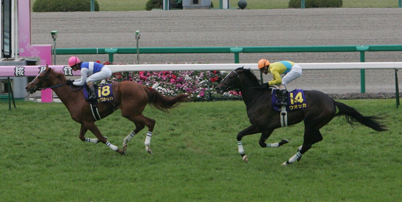 ウオッカvs.ダイワスカーレット 1分57秒2＋13分の伝説。 ～秋競馬・名勝負列伝～ | NumberPREMIER - ナンバープレミア
