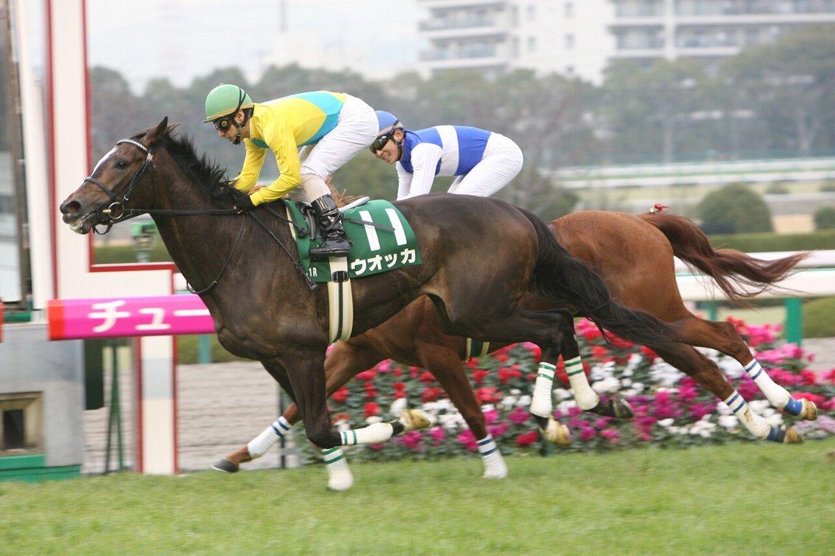 チューリップ賞２