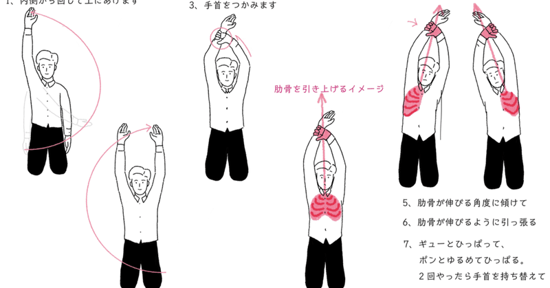 呼吸が浅い 眠りが浅い人に知って欲しい 肋骨をゆるめる方法 本郷 整体しの原 note